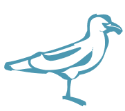 Bird Icon