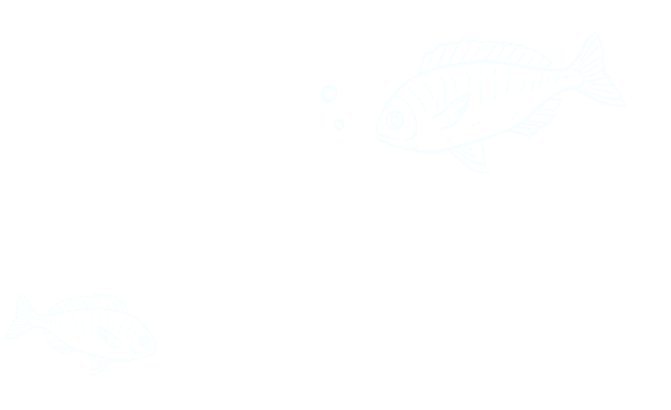 Fish Graphic