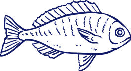Fish Icon