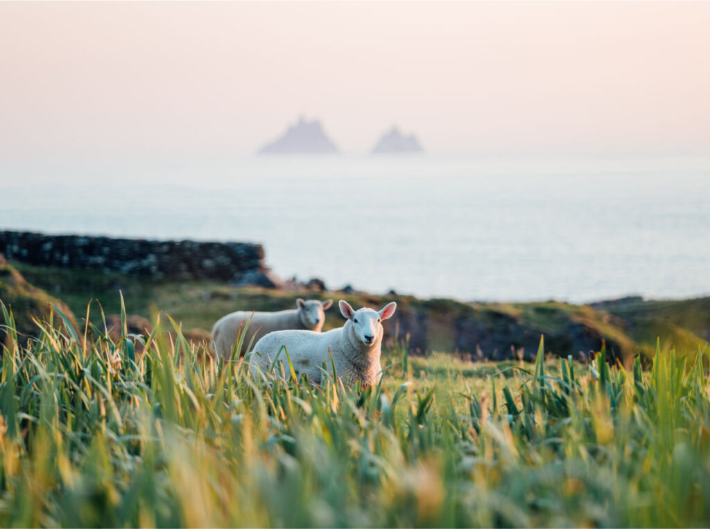 Image of Co Kerry Ireland