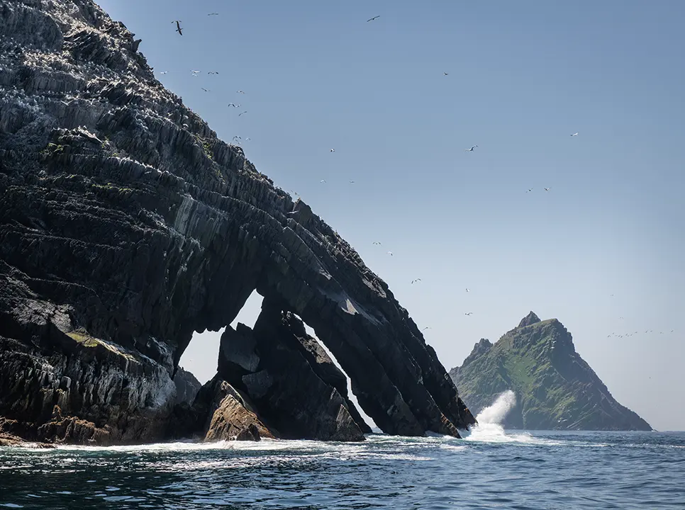 Little Skellig,bird colony