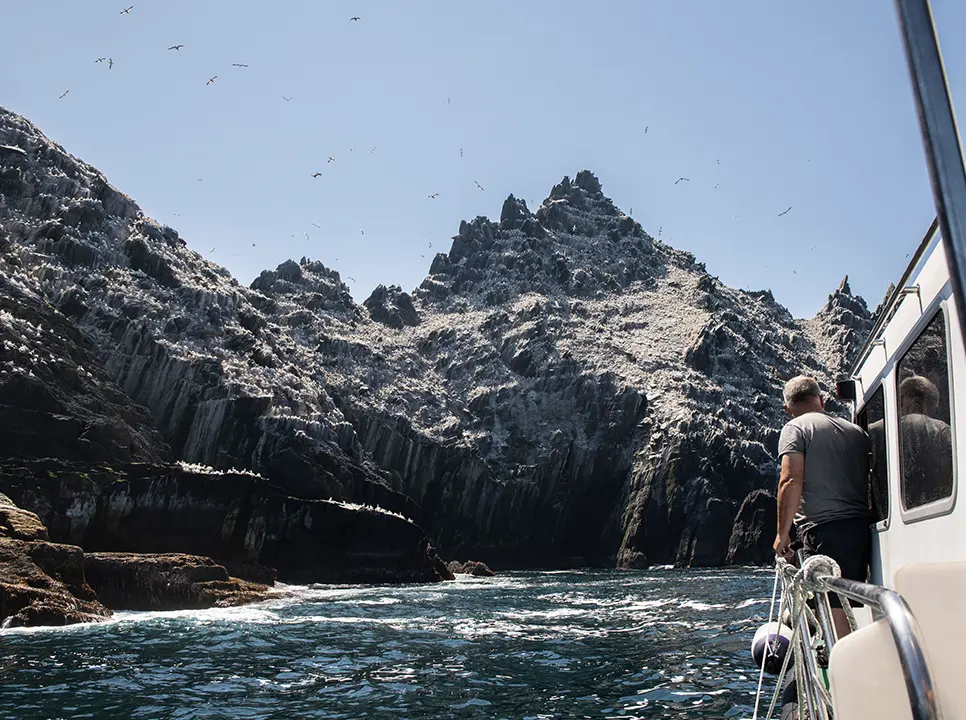 Skelling Michael Seabirds Co Kerry NG Img (7) master